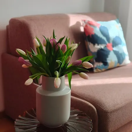 Apartmán Fluere - Via Riva Reno *