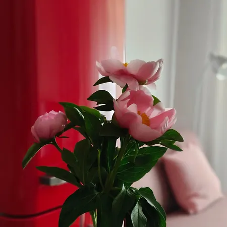 Fluere - Via Riva Reno Apartmán